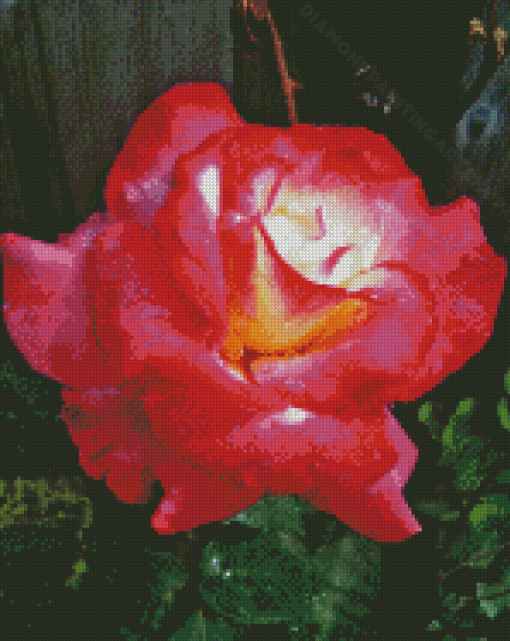 Princess Diana Roses Diamond Painting Art