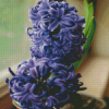 Purple Hyacinth In Plant Pot Diamond Painting Art