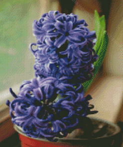 Purple Hyacinth In Plant Pot Diamond Painting Art