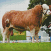 Simmental Cattle Diamond Painting Art