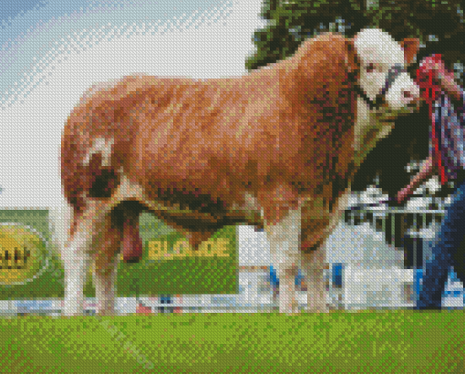 Simmental Cattle Diamond Painting Art