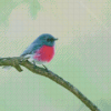 Small Rose Robin Bird Diamond Painting Art