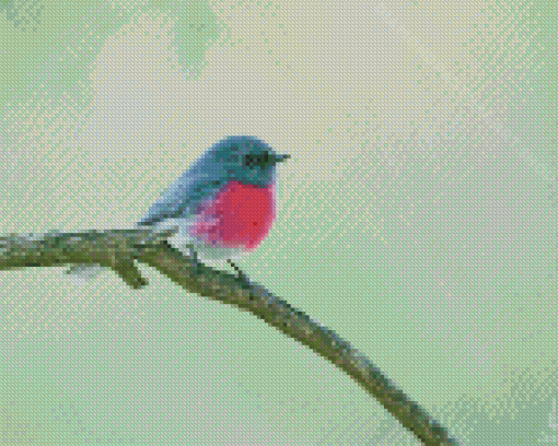 Small Rose Robin Bird Diamond Painting Art