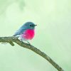 Small Rose Robin Bird Diamond Painting Art