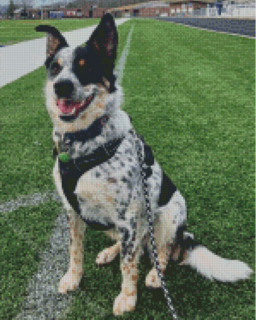 Texas Heeler Dog Diamond Painting Art