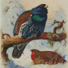 Western Capercaillies Art Diamond Painting Art