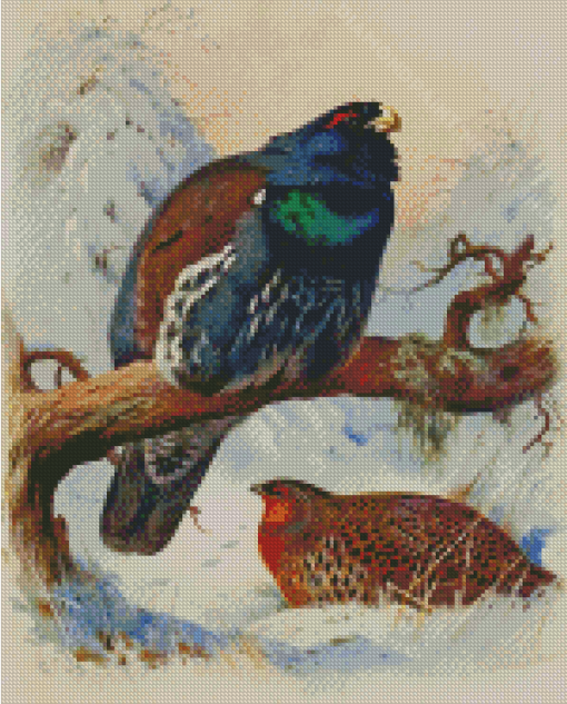 Western Capercaillies Art Diamond Painting Art