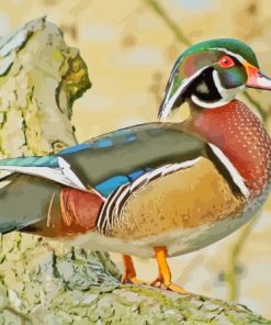 Wood Duck Bird Diamond Painting Art