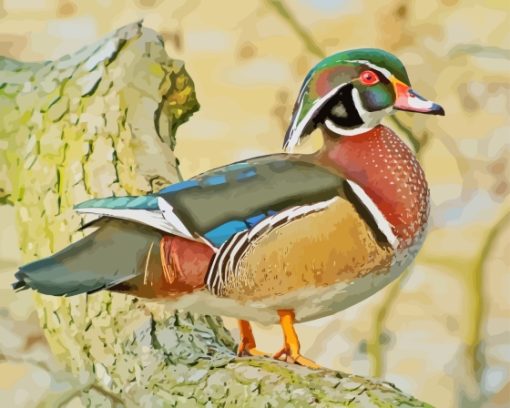 Wood Duck Bird Diamond Painting Art