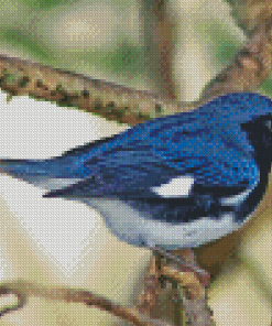Aesthetic Blue Oriole Bird Diamond Painting Art