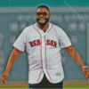 Aesthetic David Ortiz Diamond Painting Art