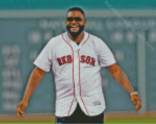 Aesthetic David Ortiz Diamond Painting Art