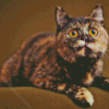 Aesthetic Tortoiseshell Cat Diamond Painting Art