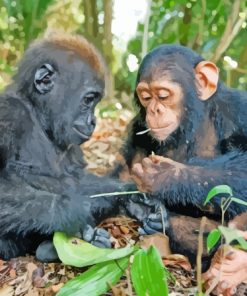 Baby Gorilla And Chimpanzee Playing Diamond Painting Art