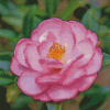 Beautiful Camellia Diamond Painting Art