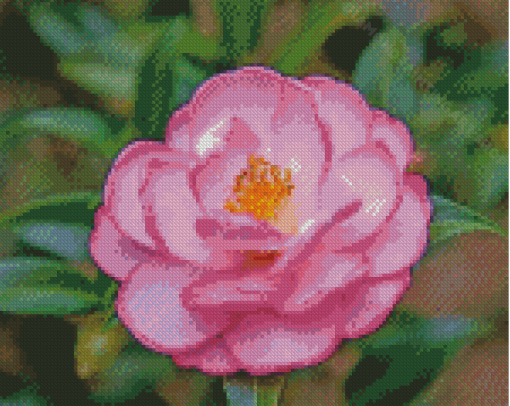 Beautiful Camellia Diamond Painting Art