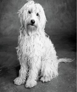Black And White Golden Doodle Diamond Painting Art