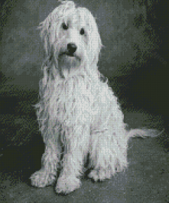 Black And White Golden Doodle Diamond Painting Art