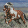 Brown White Mustang Horse Diamond Painting Art