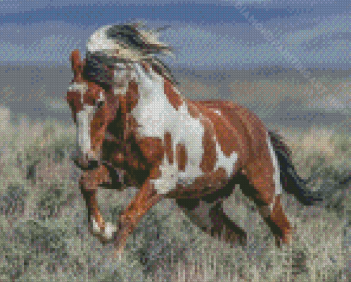 Brown White Mustang Horse Diamond Painting Art