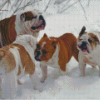 Bulldogs Playing In Snow Diamond Painting Art