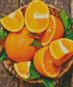 Citrus Orange Diamond Painting Art