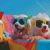 Dogs Wearing Glasses Diamond Painting Art