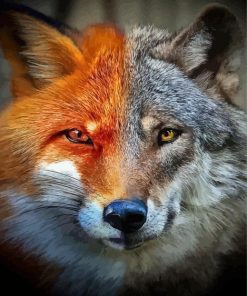Fox Wolf Diamond Painting Art