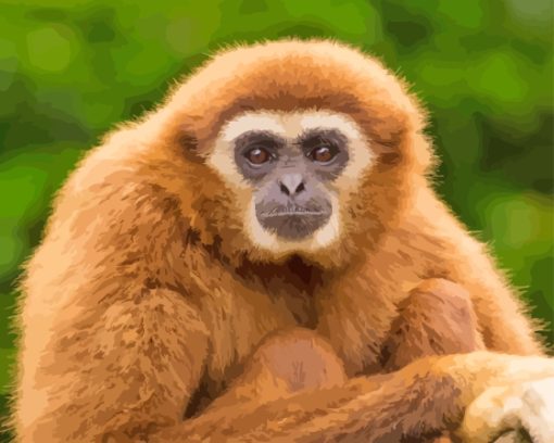 Gibbon Primate Diamond Painting Art