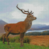 Royal Red Deer Stag On A Beach Diamond Painting Art