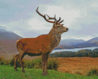 Royal Red Deer Stag On A Beach Diamond Painting Art