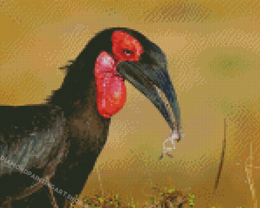 Southern Hornbill African Bird Diamond Painting Art