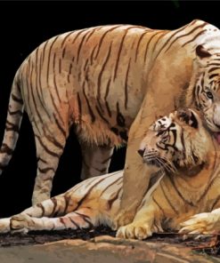 Tigers In Love Diamond Painting Art