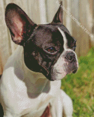 Black And White French Bulldog Side Profile Diamond Painting Art