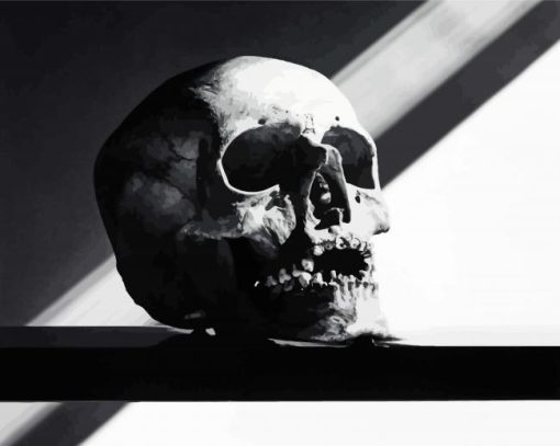 Black And White Skull Diamond Painting Art