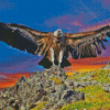 Condor Bird Wings Diamond Painting Art