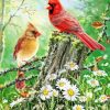 Daisies And Cardinals Diamond Painting Art
