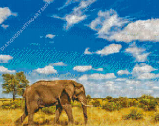 Elephant Kruger National Park Diamond Painting Art