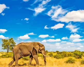 Elephant Kruger National Park Diamond Painting Art
