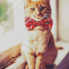 Ginger Cat With Red Bowtie Diamond Painting Art