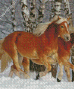 Haflinger Horses In Snow Diamond Painting Art