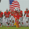 Miami Football Team Diamond Painting Art