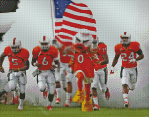 Miami Football Team Diamond Painting Art