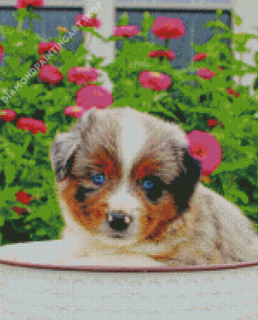 Mini Aussie Puppy Diamond Painting Art