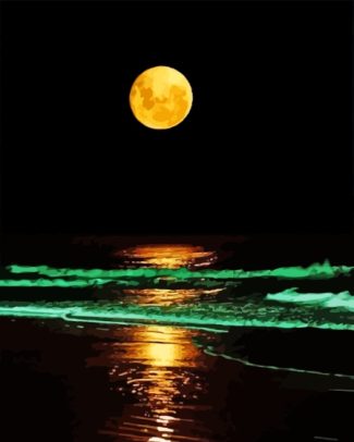 Moon Light On The Beach Diamond Painting Art