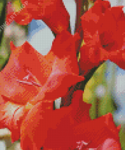 Red Gladiolus Flowers Diamond Painting Art