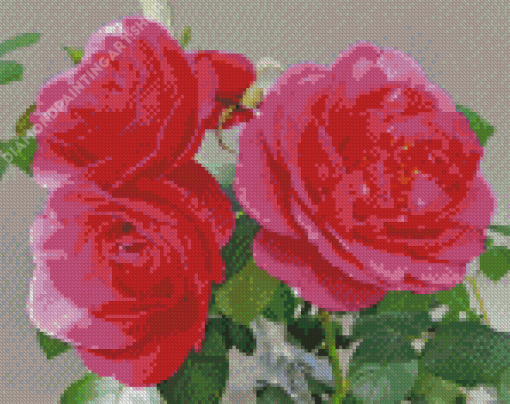 Roses Fairy Tale Diamond Painting Art