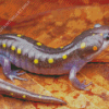 Spotted Salamander Diamond Painting Art