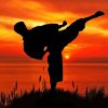 Taekwondo Man Sunset Diamond Painting Art