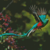 The Quetzal Diamond Painting Art